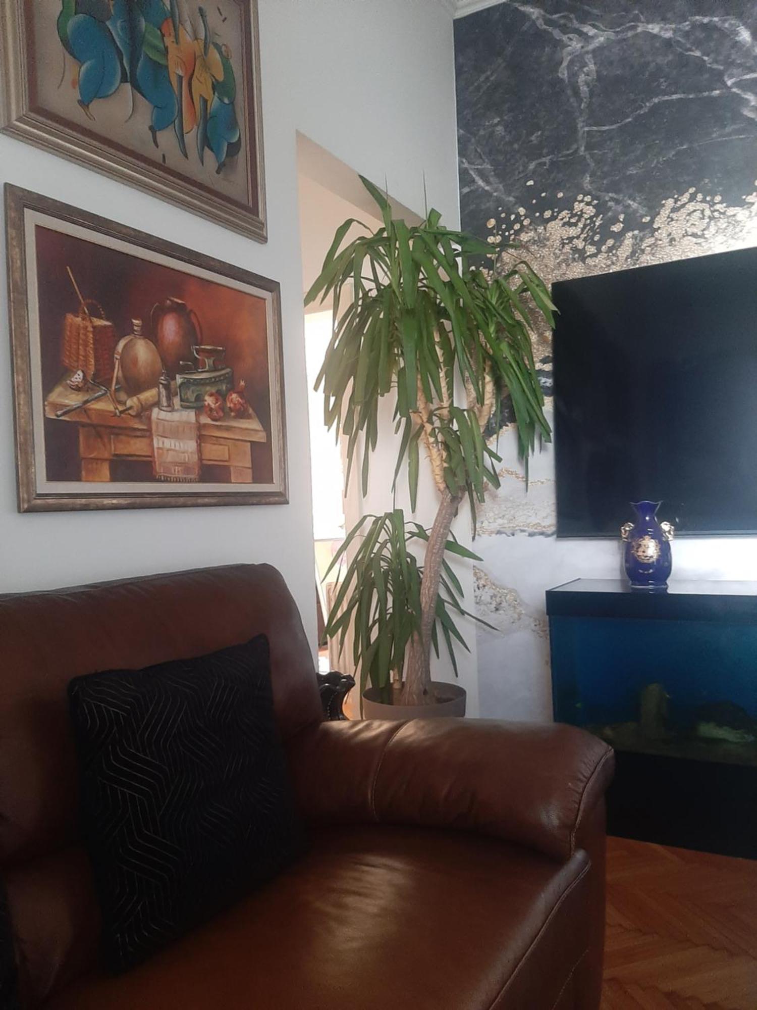 Stylish King Downtown Apartment Podgorica Exterior photo